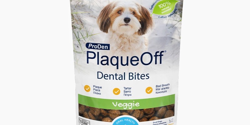 사진 출처 aboutpet.co.kr