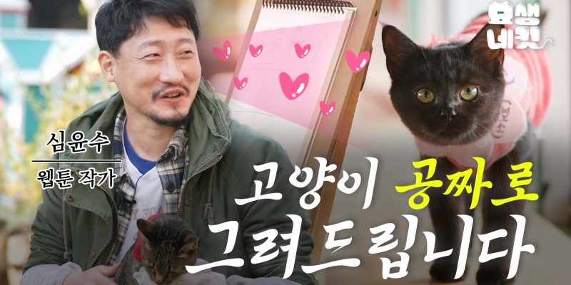 고양이 만지러.. 아니 그리러 갑니다ㅣ심윤수의 묘생네컷 EP.0 '그' 발언 해명